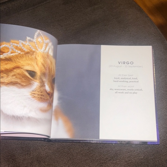 Catstrology Book - Hard Cover Brand New - Picture 5 of 5